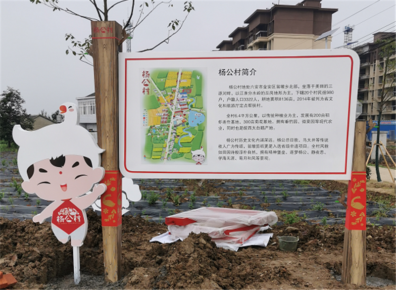微信图片_20200702171449_副本.png